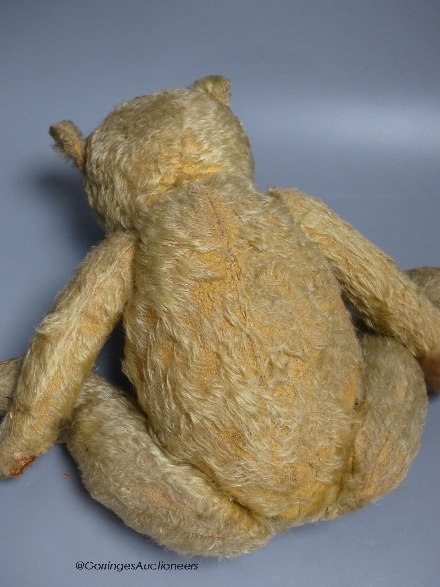 A blonde plush Teddy Bear with a hump back, height 51cm